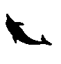邩2